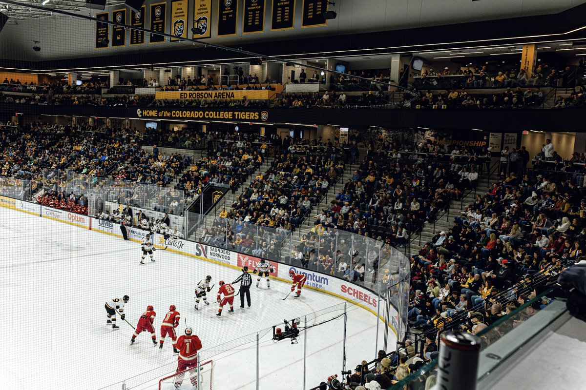 Broadmoor Beauties tweet media