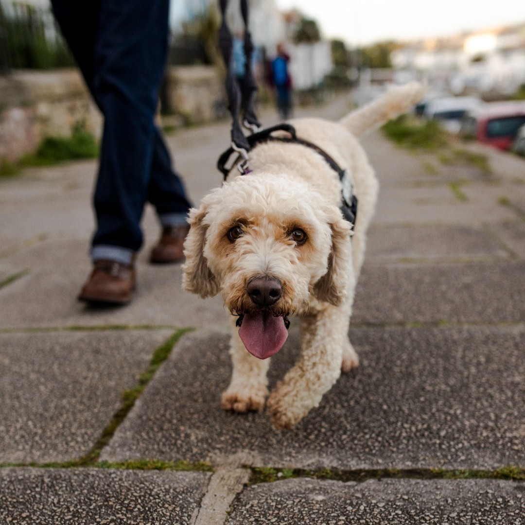 The Working Boat tweet media