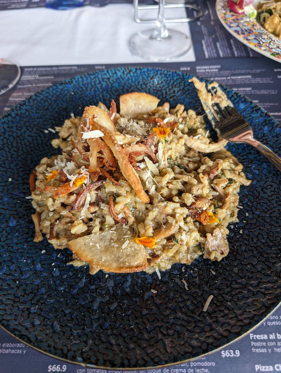 OmarOdha's tweet photo. @redzvel Yo me comí un Risotto de asado huilense, traía arepita. 10/10 https://t.co/Rj9OvCDcau