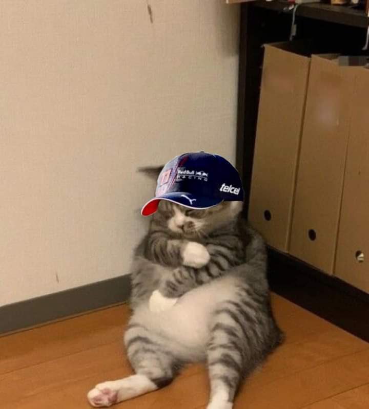 laufelicciano's tweet photo. La F1 entre semana || La F1 el fin de semana: https://t.co/bP7vAqqFJH