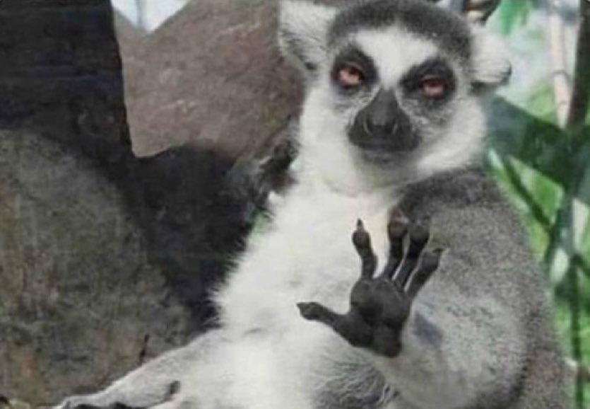 Concrete tweet media