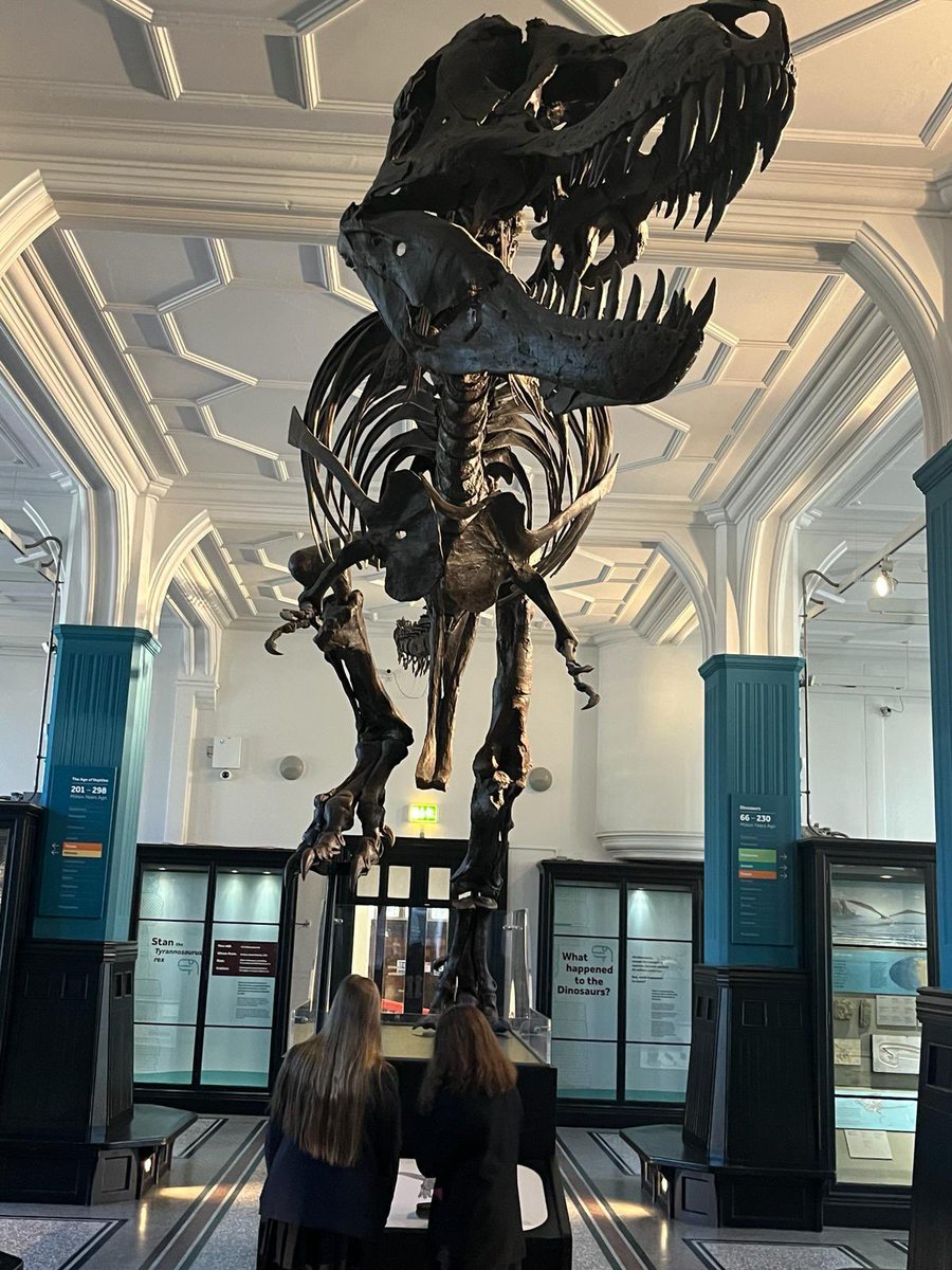 Mr White and Mrs Linton took Y10 history students to the careers take over day at the newly refurbished Manchester Museum. They got to speak to lots of different professionals who work for the museum.  Thank you to GM Higher for another fantastic opportunity.