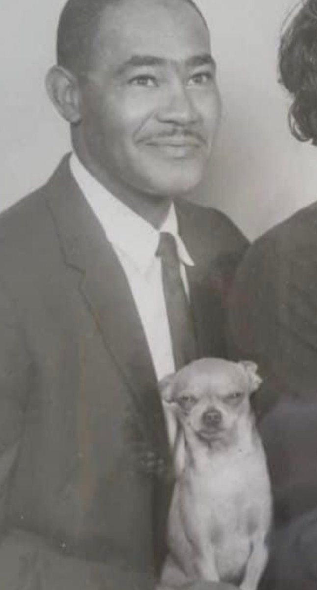 I’m in shambles!!!