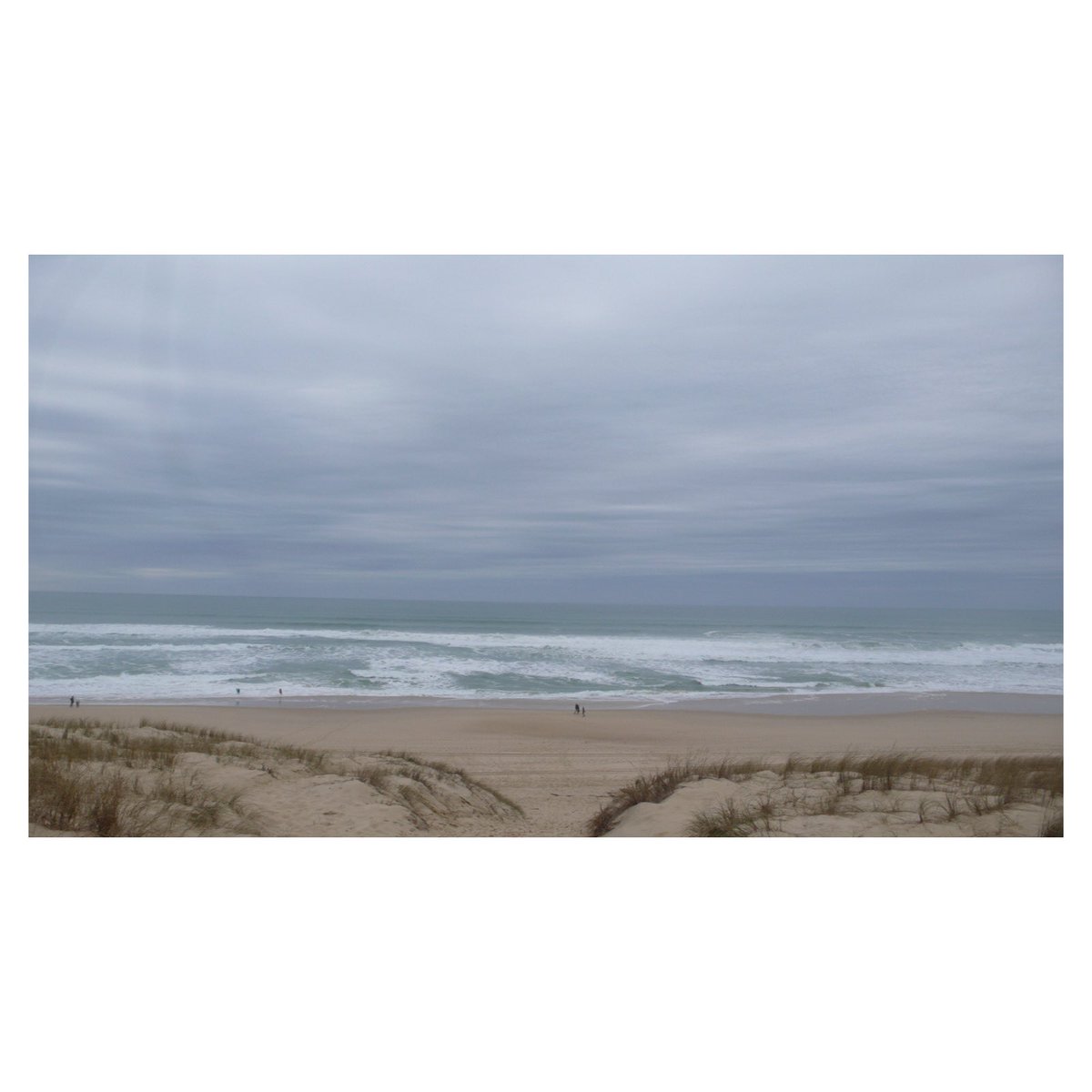 Plage du Truc Vert 
18.2.24

#ocean #legecapferret #plagedutrucvert #bassindarcachon #vivrelebassin #lecrakoi #igersfrance #igersnouvelleaquitaine #oceanphotography #oceanlife #wipplay #reponsesphoto #woofermagazine #leicacamerafrance #leicaphotography #leicadlux3 #sudouest