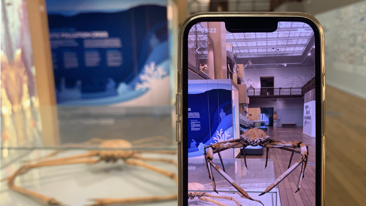 #augmentedreality spider crab, Mythquest AR Adventure at Great North Museum - Hancock. Visit <a href="/GNM_Hancock/">Great North Museum: Hancock</a> to learn more, or contact <a href="/flo_culture/">Flo-culture</a> to learn how we help museums and heritage settings with our AR solutions. #museums #tyneandwearmuseums