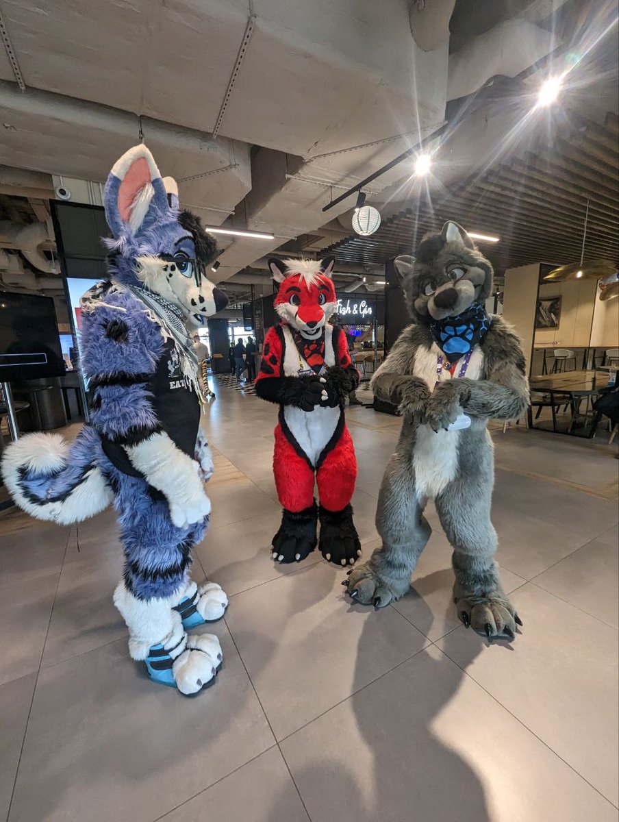 Here are some photos taken during <a href="/GdakonPL/">Gdakon</a> , but these are only a small glimpse of the intensity of this convention. Thank you to the organizers and above all thank you <a href="/RokkoWusky/">Rokko</a> <a href="/CodyShepherdCZ/">ℂ𝕠𝕕𝕪 𝕊𝕙𝕖𝕡𝕙𝕖𝕣𝕕 🐾❤️</a> @AkiThePup <a href="/Andrew_fox62/">Andrew Fox 🔜 NFC, FWH</a> <a href="/nadamefloof/">N a d i 🍪 (@nadamefloof.bsky.social)</a> <a href="/futratus/">Futratus Pospolitus🐾❤️ 🔜🇩🇪SSFD, East 12/13</a> for these moments together &lt;3