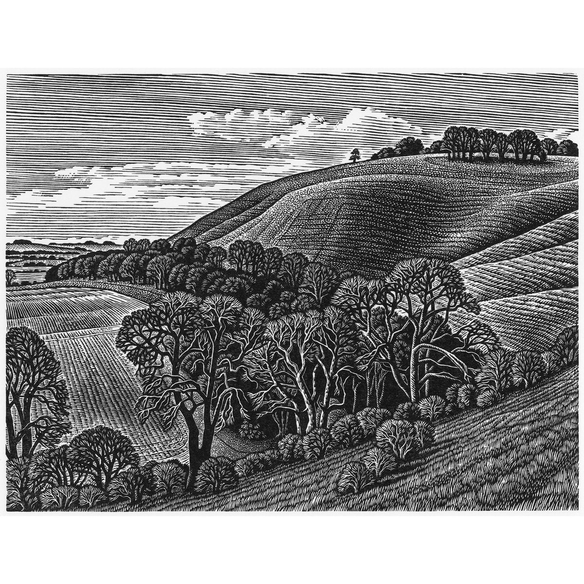 Howard Phipps - Martinsell Hill, Vale of Pewsey- from the 86th SWE Annual Exhibition, reopening on 9th March at Northern Print, Newcastle. Engravings are also available from our website. societyofwoodengravers.co.uk #printmaking #woodengraving