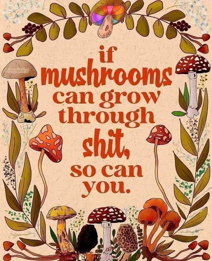 You can do it!! 🍄🍄