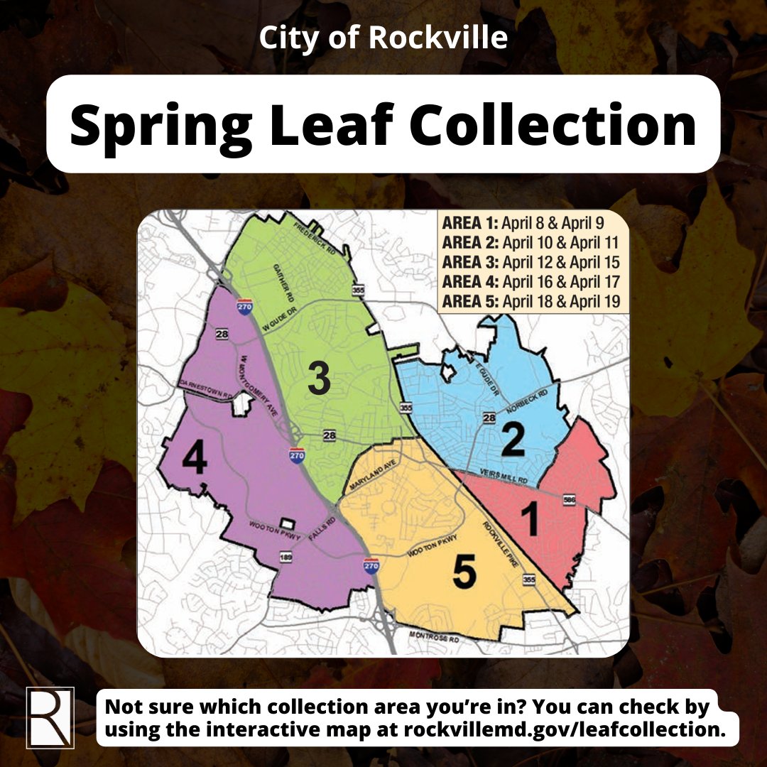 🍂 Leaf collection begins this Monday, April 8 and continues through April 19! Learn more and check which collection area you're in at rockvillemd.gov/leafcollection