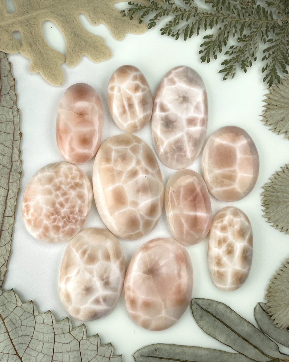 luciditygems's tweet photo. THOMSONITE PINK LARIMAR 🌸 with gorgeous webbing 🕸️ This peachy pink material is reminiscent of Larimar because of its mineral structure and semi-translucency. If the “peach fuzz” Pantone color of the year is your thing, you’ll love these cabs 🍑
#peachfuzz #thomsonite https://t.co/YG2bHxOQiU