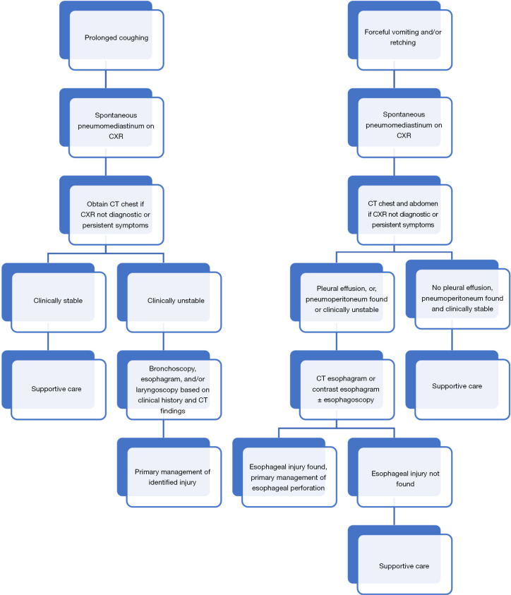 Jeffrey Velotta MD FACS (@jvelottamd) on Twitter photo A clinical review of spontaneous pneumomediastinum med.amegroups.org/article/view/8⦠Finally, it's out, congrats <a href="/cynthiajs37/">Cynthia Susai, MD</a> <a href="/nathanalcasidmd/">Nathan Alcasid MD</a> <a href="/kcbanks/">Kian Banks, MD</a> <a href="/UCSF_EastBay/">UCSF-East Bay</a> <a href="/UCSFSurgery/">UCSF Surgery</a> <a href="/KPDOR/">Kaiser Permanente Research NorCal</a> <a href="/kpnorcal/">KPNorthernCal</a> <a href="/KPMedSchool/">Kaiser Permanente Bernard J. Tyson School of Med</a> we are planning on implementing this into our system!! A clinical review of spontaneous pneumomediastinum med.amegroups.org/article/view/8⦠Finally, it's out, congrats <a href="/cynthiajs37/">Cynthia Susai, MD</a> <a href="/nathanalcasidmd/">Nathan Alcasid MD</a> <a href="/kcbanks/">Kian Banks, MD</a> <a href="/UCSF_EastBay/">UCSF-East Bay</a> <a href="/UCSFSurgery/">UCSF Surgery</a> <a href="/KPDOR/">Kaiser Permanente Research NorCal</a> <a href="/kpnorcal/">KPNorthernCal</a> <a href="/KPMedSchool/">Kaiser Permanente Bernard J. Tyson School of Med</a> we are planning on implementing this into our system!!