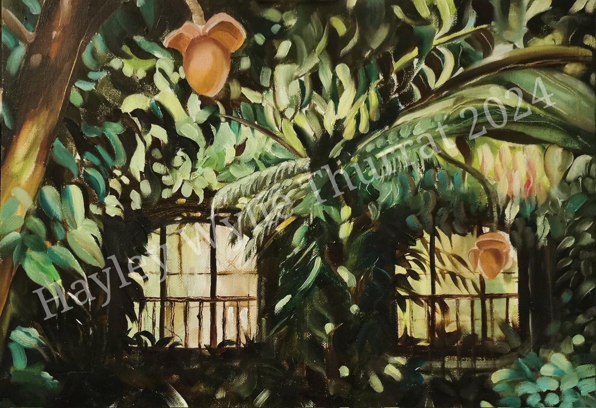 Hayley Thurrat tweet media