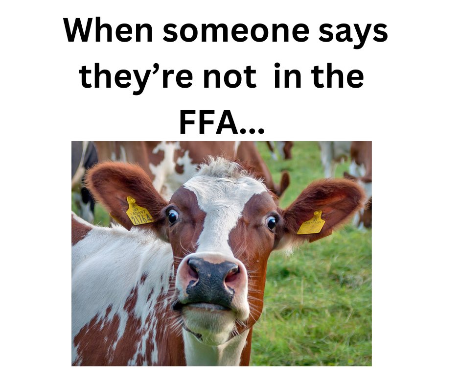 We can all agree the Ag Teachers have made this face before! 

Credit to Maria Hitchcock for making this meme for us ! <a href="/MFISDCTE/">MFISDCTE</a>