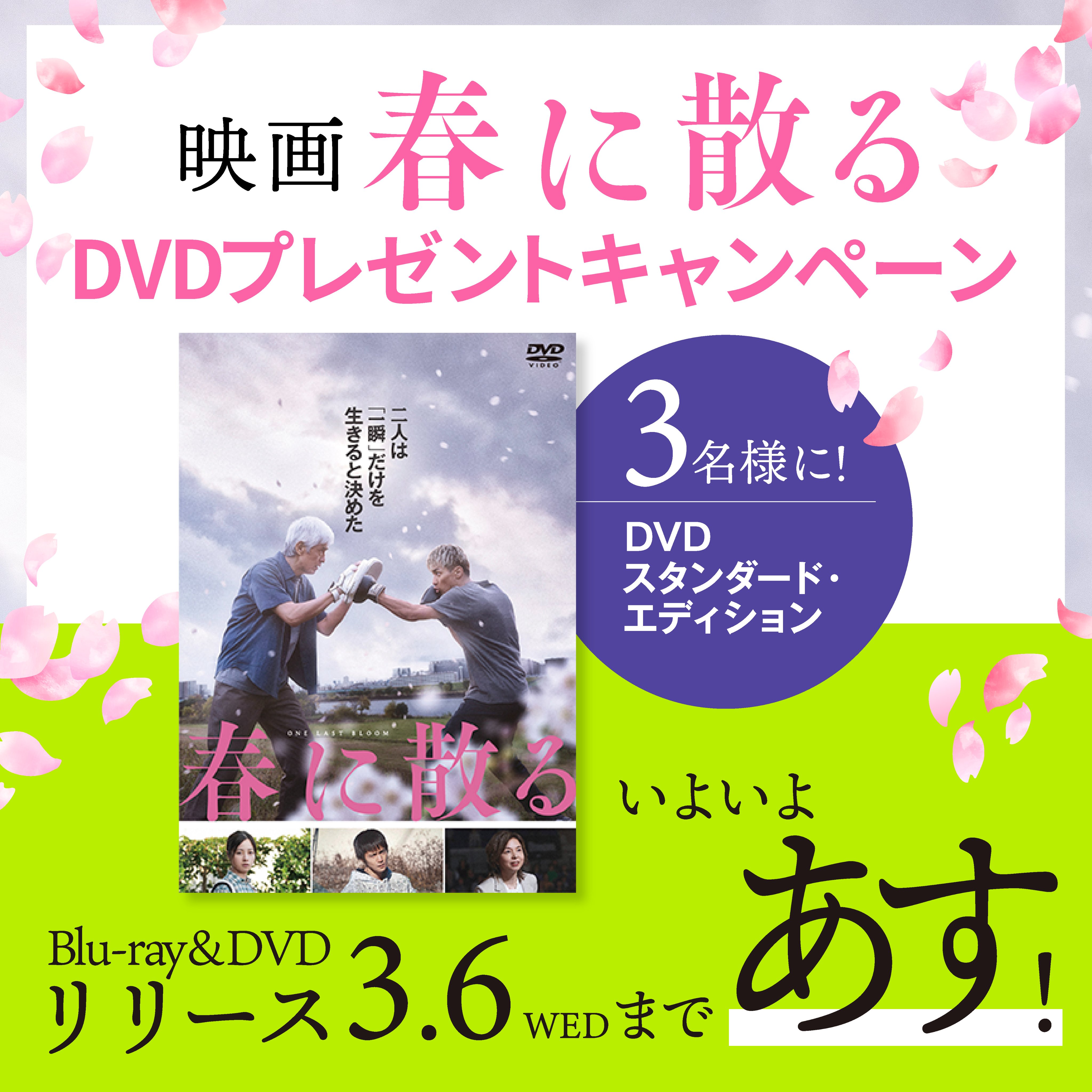国内最安値！ 映画『春に散る』 (@haruchiru_movie) X / 文学・小説