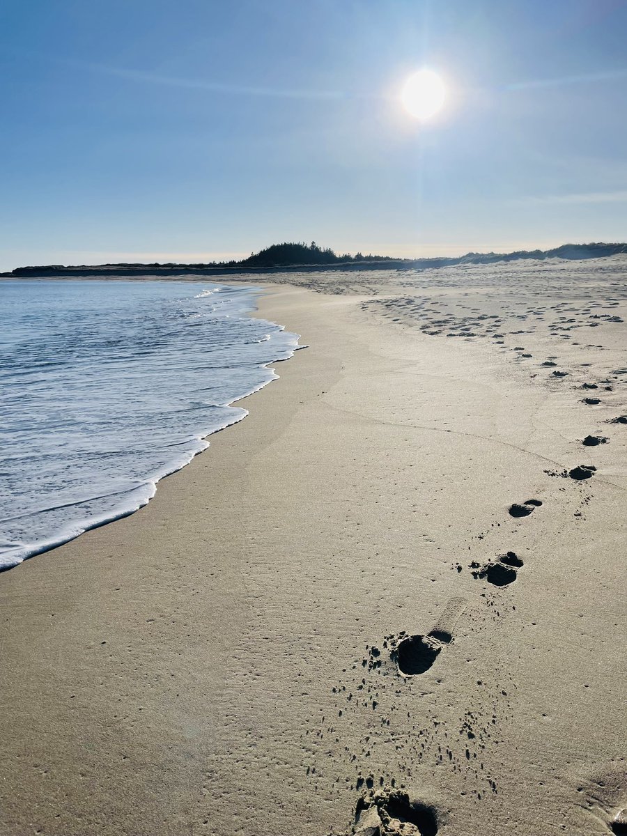 valene_roach's tweet image. Footprints in the sand &amp;amp; sunshine in the sky #readyforspring #Sandbanks #BurgeoNL 
@EddieSheerr @NLtweets @weathernetwork