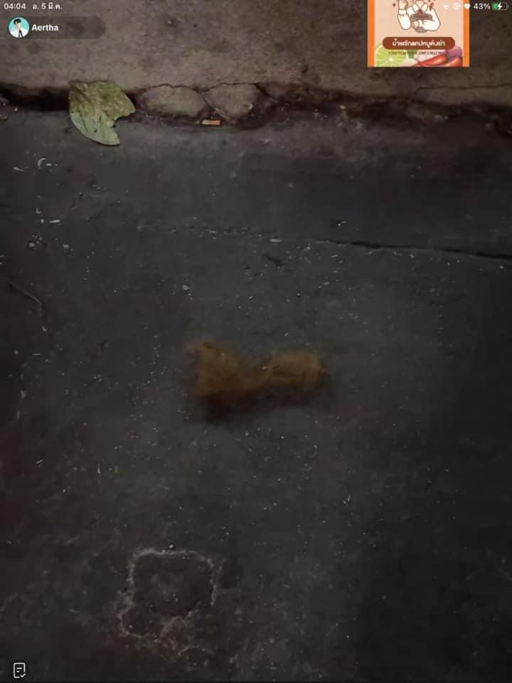 บทสรุปตอนตี 4 = อ่วมเลย #สุขุมวิท11