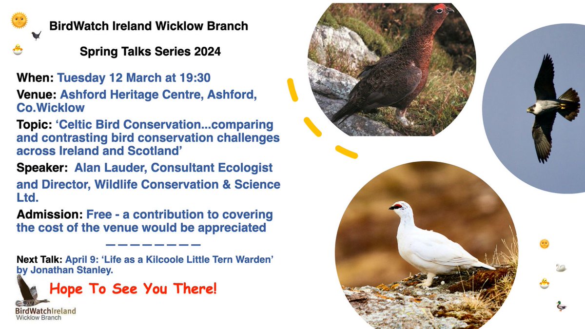 On Tuesday 12 March we have @goose_guy Alan Lauder, Consultant Ecologist and Director, Wildlife Conservation & Science Ltd., to talk on ‘Celtic Bird Conservation...comparing and contrasting bird conservation challenges across Ireland and Scotland'- Ashford Heritage Centre, 7.30pm