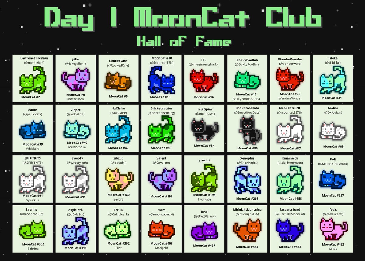 vidpet.eth tweet media