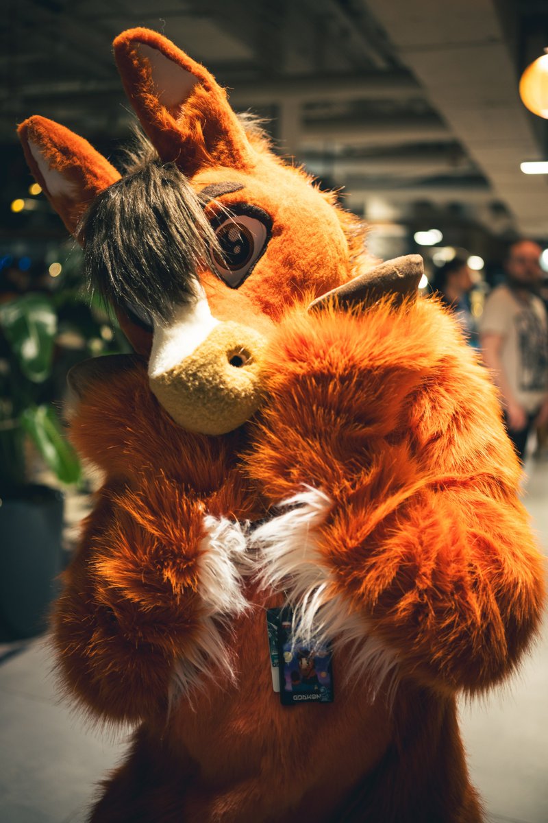 kucewski's tweet photo. What? No, you're cute!

Photo: @PjezBartor https://t.co/cTME2h23bS