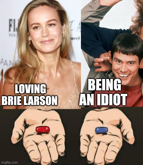 An easy choice....if you are not an idiot!!