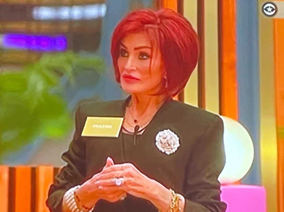 Gale Weathers being brought out of retirement in Scream 12 after Ghostface targets the big brother house