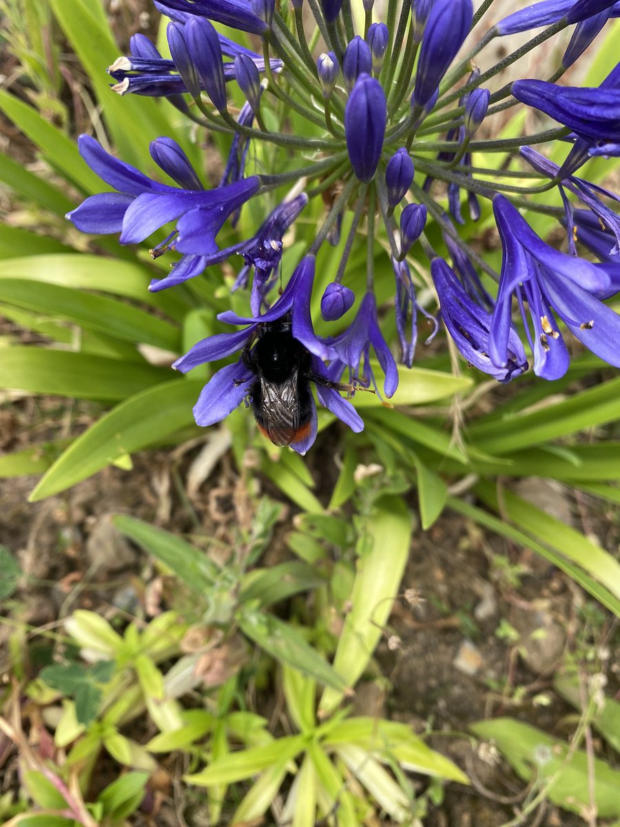 SmissBf's tweet photo. I sure am looking forward to Spring, it’s the only joyful season for me 💙 https://t.co/hX11AzYYAG