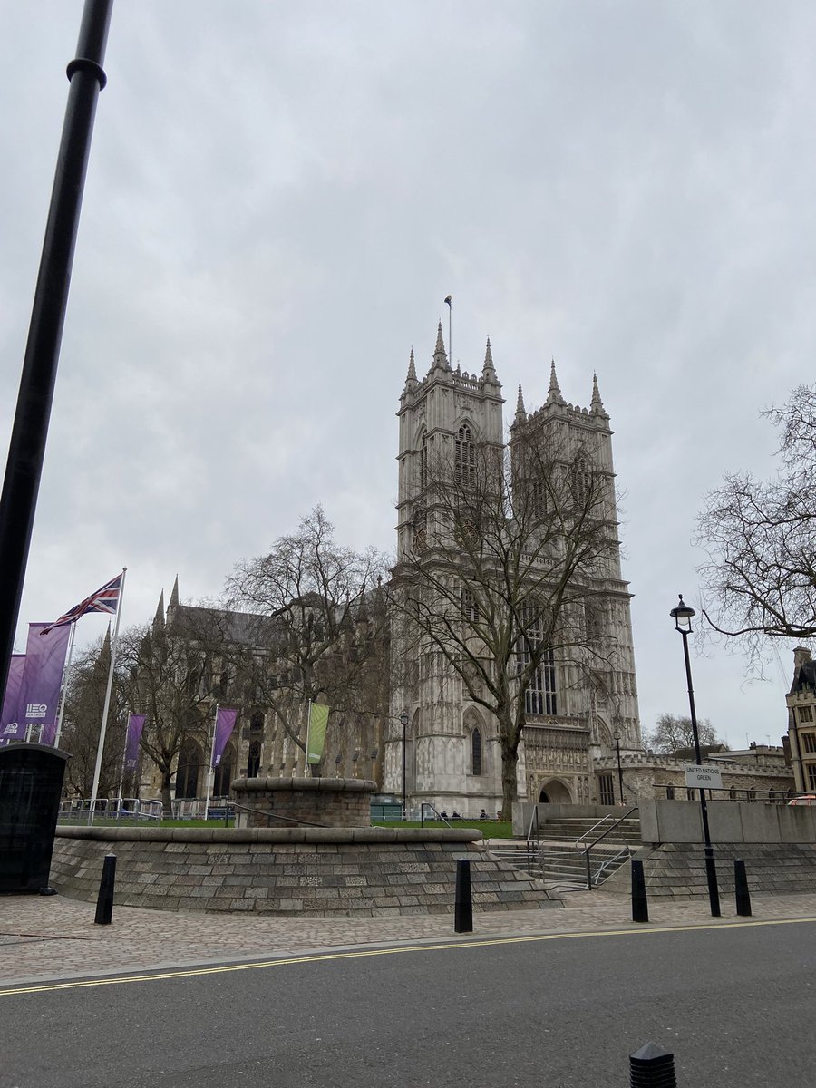 A few train delays but a lot of fun presenting my research to MPs in parliament today! Even time for a little wander around Westminster after #STEM4Brit
