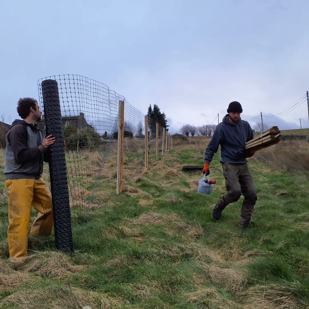 Forus Tree @forustree.bsky.social tweet media