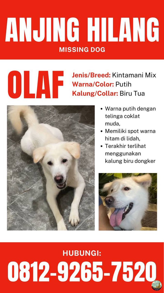 /kle haloo bagi yang melihat harap hubungi nomor yang tertera. mohon bantuannya teman-teman semua, terima kasih banyak 🙏🏻 
(terakhir diliat di daerah sunset road (florist room) bali)