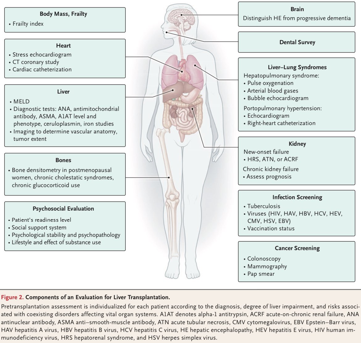 Medicina Interna | CMNO tweet media