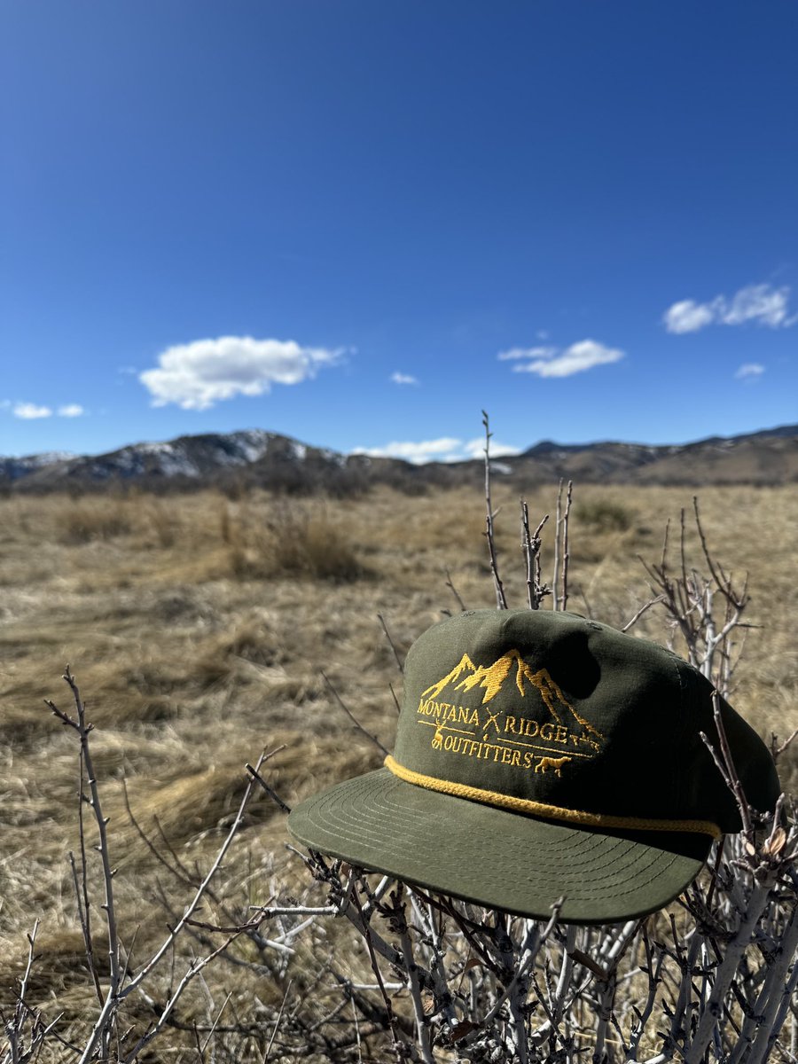 MROgear's tweet photo. Born in Texas, but love the Colorado mountains! @MRO @blitzemD @coloradooutfitters @zeppelinhunting  Get your 2024 MRO gear or subscribe now to get your monthly hunting ranch or outfitter. https://t.co/Ay2PTKuUmL https://t.co/qJflKpxklu