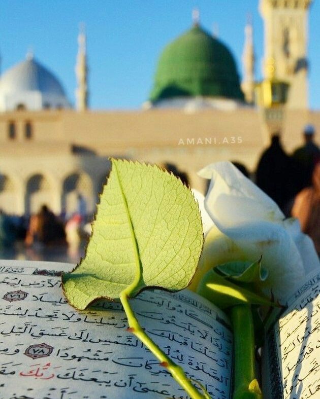 Aslamoalekum
good morning X Family
Have a nice day
🌹اللہم صل علی محمد و آل محمد 🌹