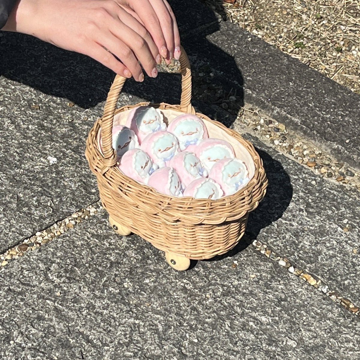 とかべビーズおでかけ☀️

#すみっコぐらし 
#とかげ 
#ぬい撮り
#すみっコぐらしとかげ