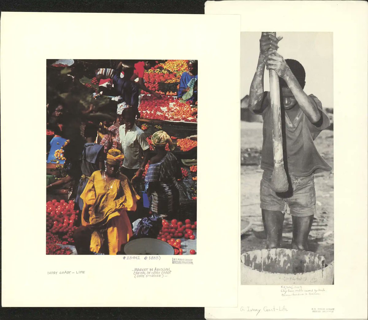 orokoradio's tweet image. Tue 5 March 2024

12PM - Woréka
1PM - Julianne Chua &amp;amp; Anna Maconi
2PM - NCP Radio
3PM - Obeka
4PM - Lys Ventura
5PM - (R)@EdemxDotse 
6PM - Megatronic &amp;amp; Curls
7PM - (R) @___DAMAGE 
8PM - XYRAK47
9PM - (R) @odalys_ny 
10PM - (R) @stateofff___ , @RealDJLag 

oroko.live