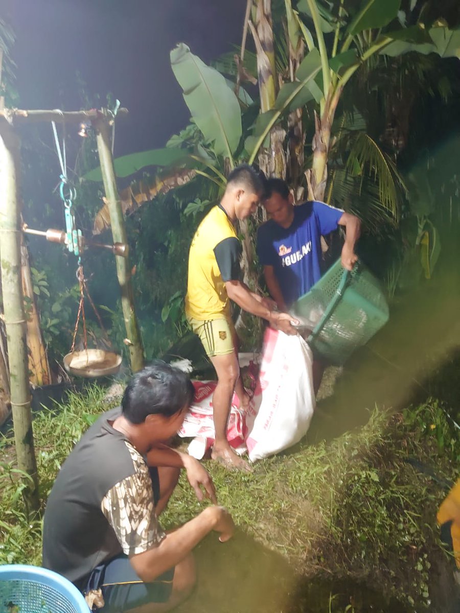 NonyNoy13's tweet photo. Selasa (5/03/24). Siti Chadijah, LuhKan Kab. HSU, melakukan pencatatan dan pelaporan panen ikan patin di tempat bpk Subhan/POKDAKAN Berkat Bersama. Jlh panen 2700 kg #LuhLapor #Produksi #HSU #GiatLuhkanSatminkalBWI @bppsdm_bp3bwi @muchlisin_moch https://t.co/XyIUigb9Yq