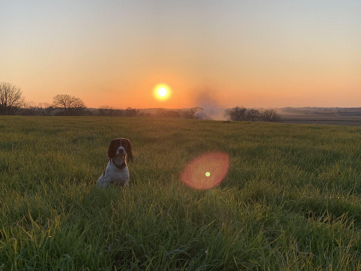 superstevehood's tweet photo. @VodafoneUK #VodafoneTreats #sunsetphotogharaphy #somerset https://t.co/fjh5Ihg0oC