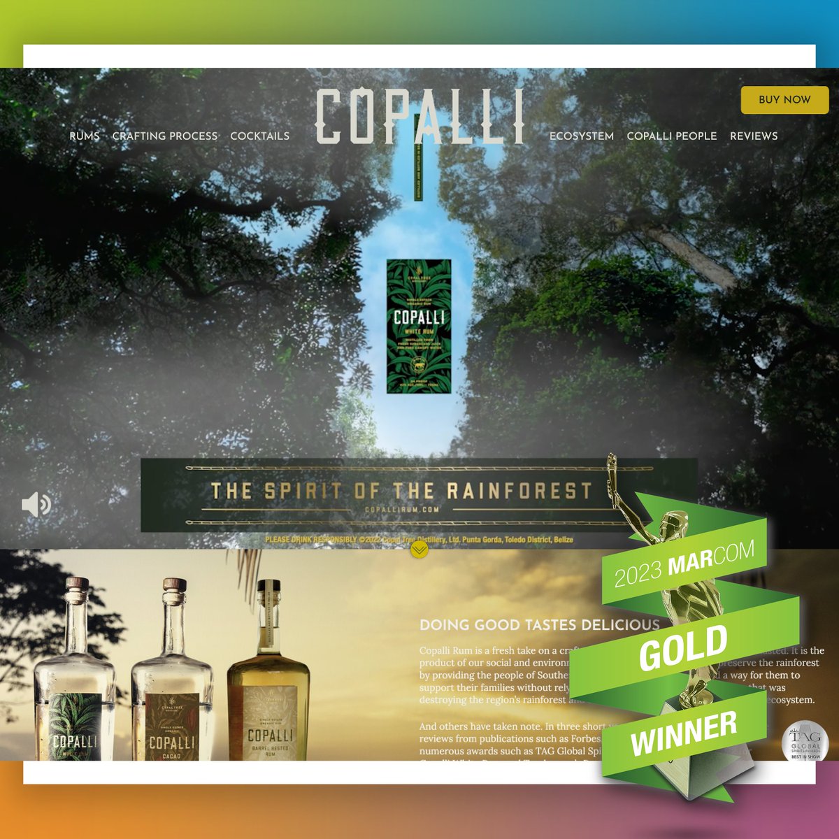 Thrilled to share that WGM has struck gold—twice! 🏅🏅 We've been bestowed with two shiny medals at the prestigious MarCom Awards, all thanks to our partnership with Copalli Rum. Click to see all the winners! bit.ly/487GAiJ