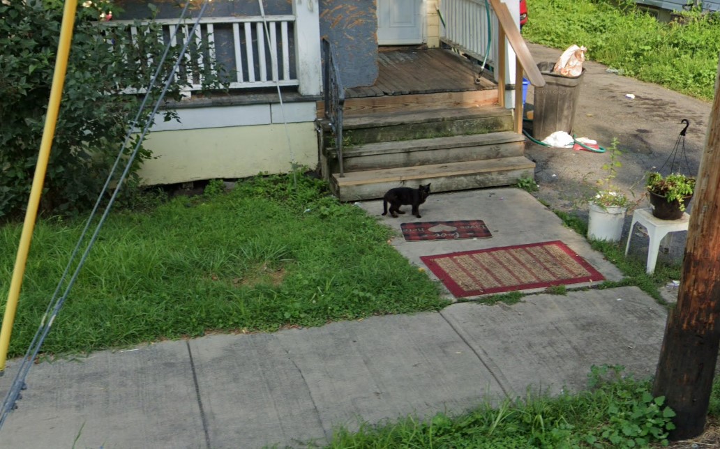 neilmburke🚸 tweet media