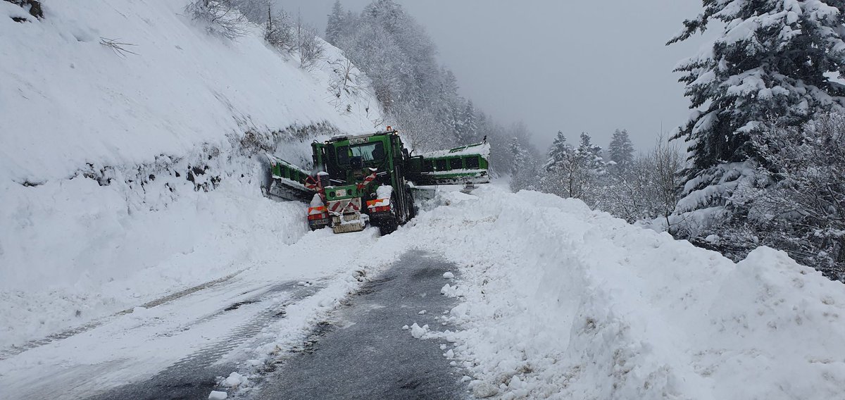 camus Harold tweet media