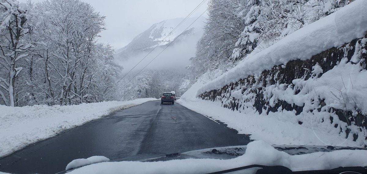 camus Harold tweet media