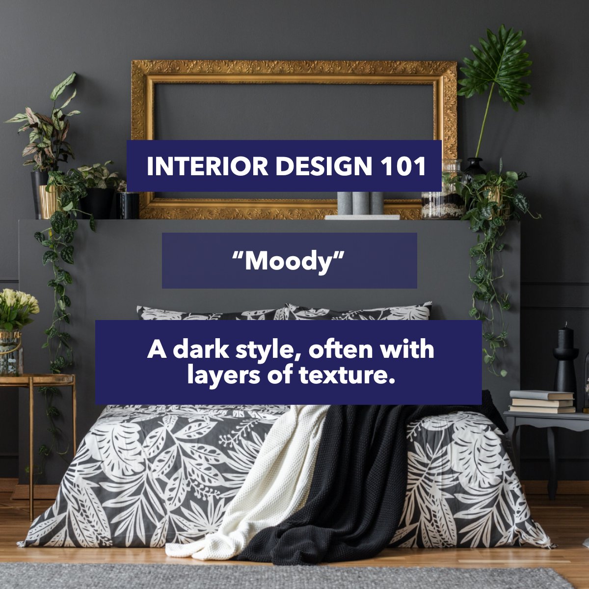 Realtor_Jenn's tweet image. Moody is not only a mood is a style in interior design. 

Are you feeling moody? 

#interiorsdesign #interiortrends #interiordesigning #interiordesigntrends #interiorsaddict #interiordesigntips #interiordesigngoals 
 #dallasrealestate #dfwrealtor #realestate #seller