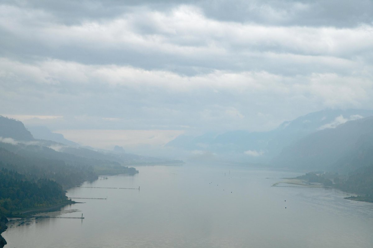 Vancouver_USA's tweet image. A wintery look at Cape Horn in the Columbia River Gorge. 🌧️ As we are eagerly awaiting warm, sunny days, this chilly shot has its own cool charm. 🌲☁️ #SWWA #TrueToNature @StateWaTourism