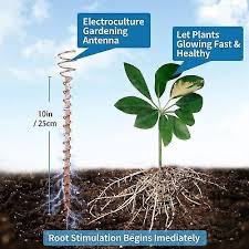 BuckRight's tweet image. Following topics on my feed.
All connected by 1 thing.
Aether…. AKA free energy.
Being hidden.
For streamlining -search.
Tartaria —old world- myth of the frontier- ancient- mudflood.
Aether- free energy- atmospheric.
Jet fuel hoax-Concorde.
Airships
Electro culture