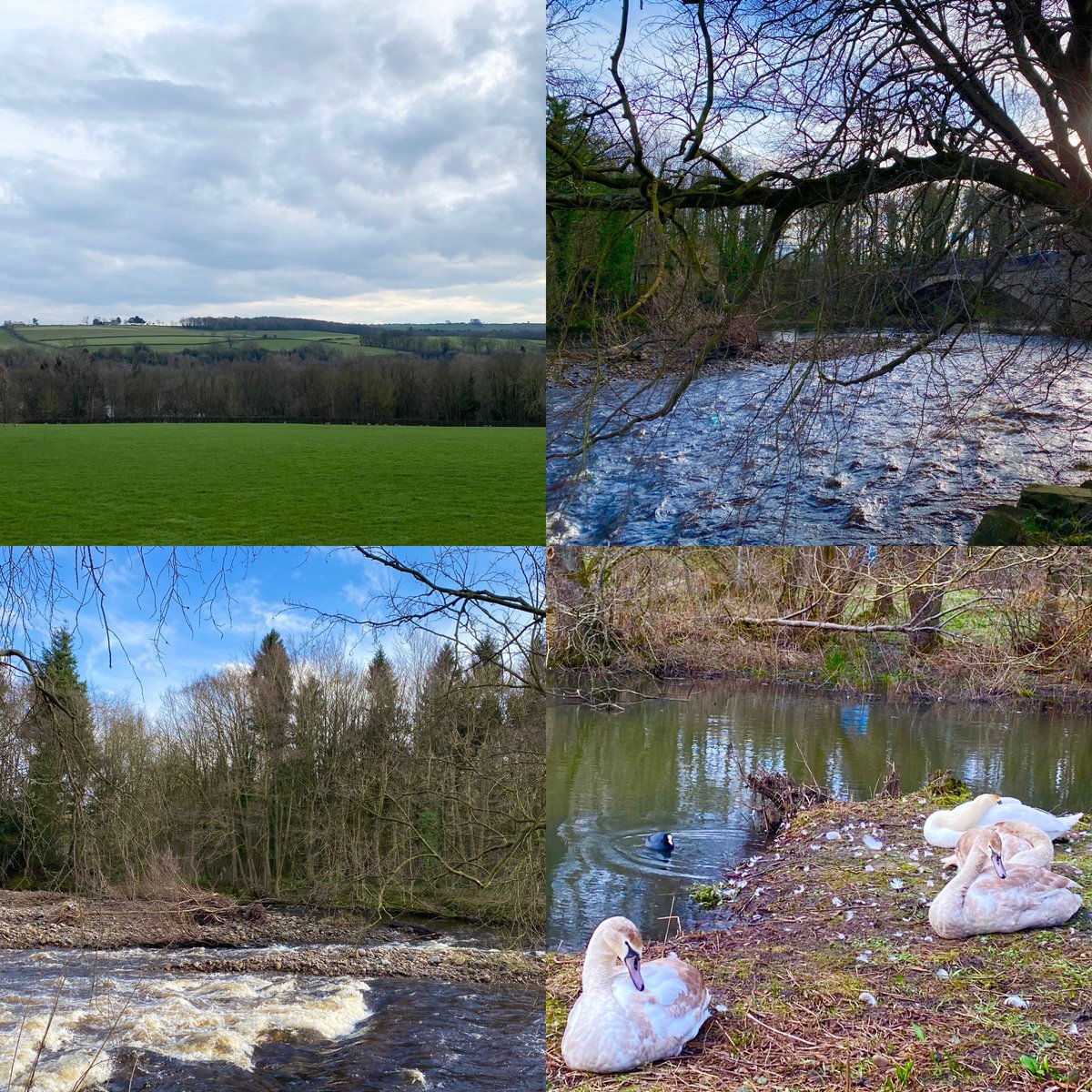A nice long #run 🏃🏻‍♀️ this afternoon along the bank of #RiverWear, then into the @durhamwildlife nature reserve. I was also greeted by a family of swans🦢 🦢 too. #weardale #healthy #exercise @Discover_Durham