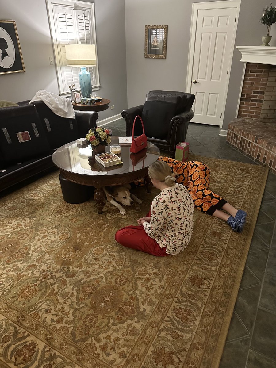 When your sisters begin packing after a long weekend to return to Seattle and Starksville, you go under the coffee table and refuse to come out.