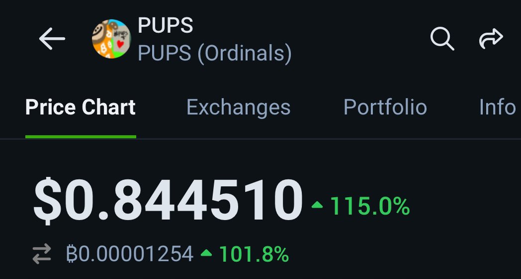 $pups going for 1$  🚀🧗🏻