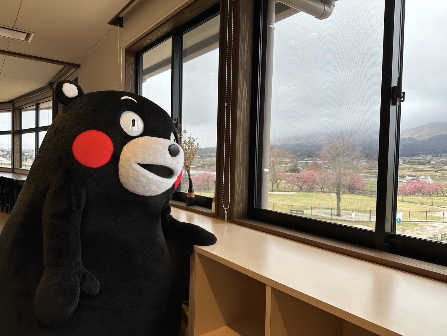くまモン【公式】 on X: くまモン【公式】 on X: