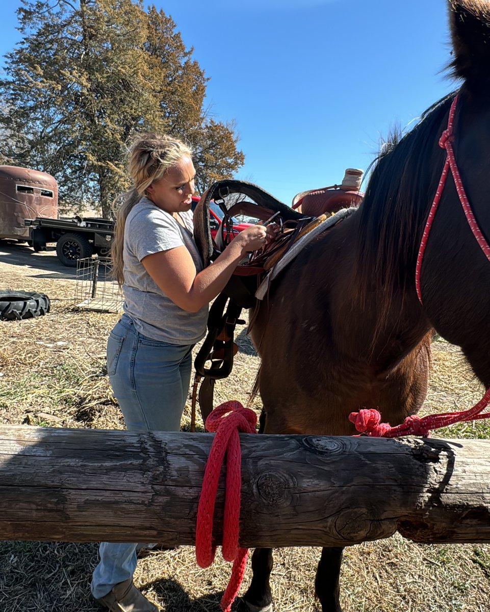 FemaleRancher's tweet photo. Saddle up, friends! 🐴 This week's horse lessons brought a new challenge – mastering Greg's seemingly effortless mount. Turns out, it's a workout in disguise! 💪 Horses truly engage muscles you never knew you had. Who else agrees? 🏇🌿 #FarmLife #HorseRiding #MuscleChallenge https://t.co/yh9OosmTTn