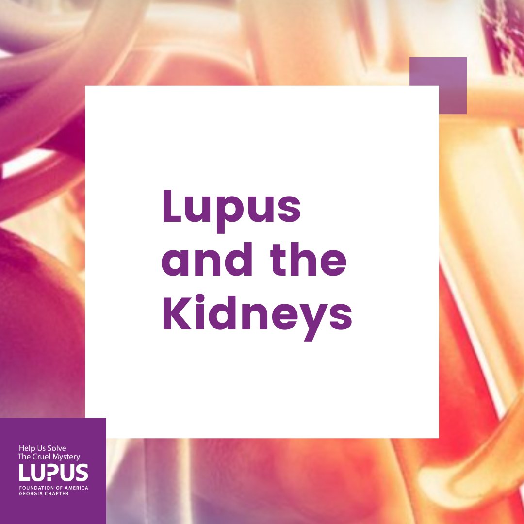 Did you know that March is National Kidney month? If you want to learn more about lupus' effect on the kidneys and how you can take better care of yours, we have a resource for that: lupus.org/resources/how-… #lupusga #kidneyhealth