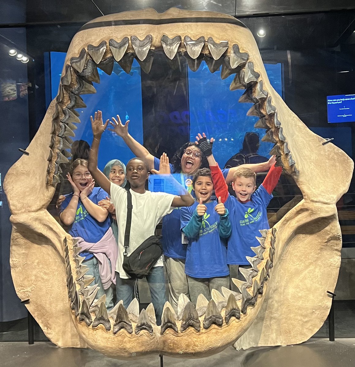 Our fourth graders had an incredible experience at the Fort Fisher Aquarium! @rsykez @WesternWCPSS @MollyMo518 @guillenDillard